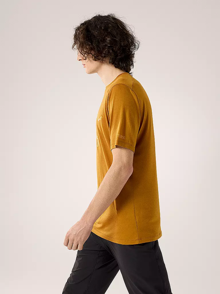 ARCTERYX | Herren Funktionsshirt Ionia Merino Wool Logo | grau