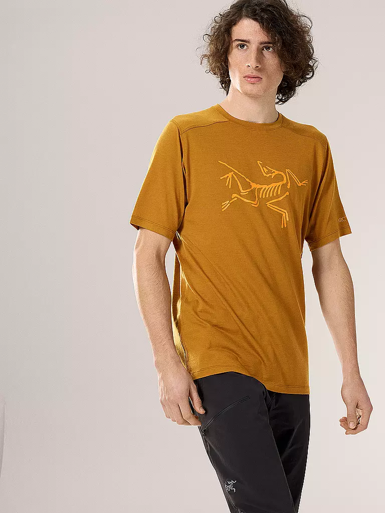 ARCTERYX | Herren Funktionsshirt Ionia Merino Wool Logo | gelb