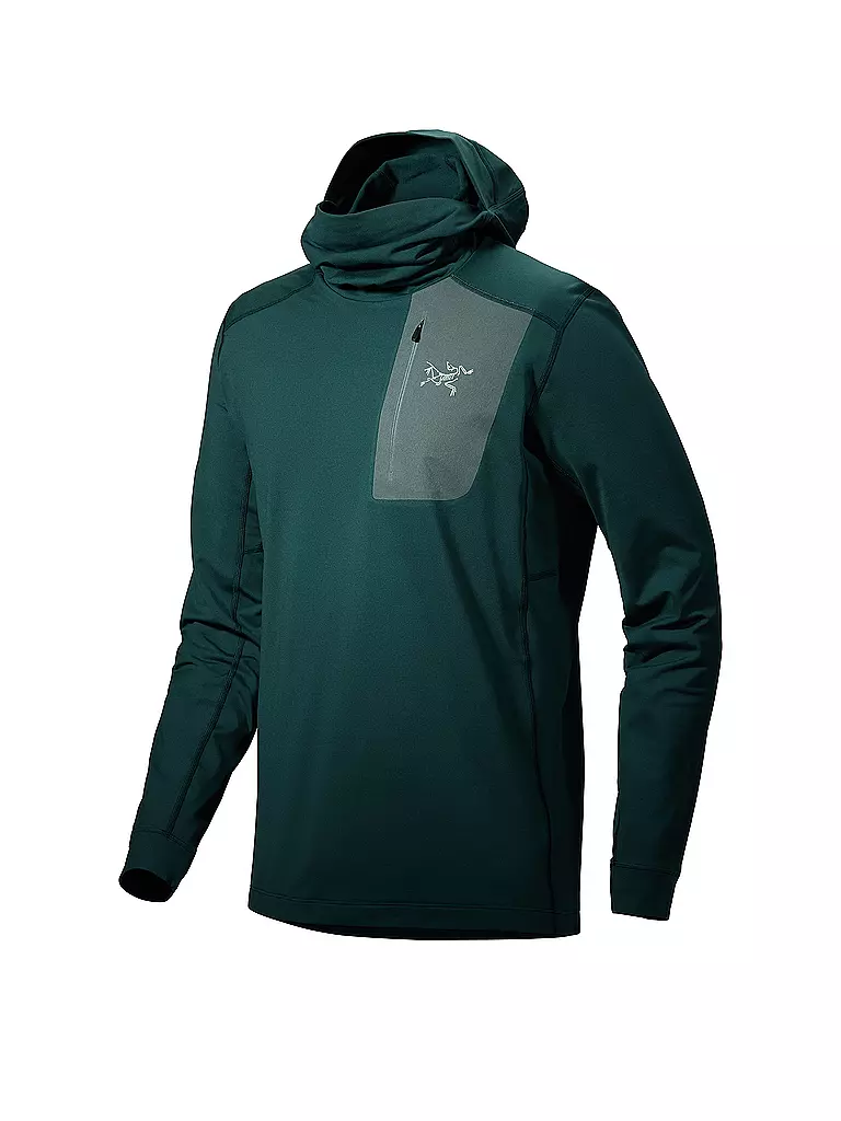 ARCTERYX | Herren Funktionsshirt Rho LT Hoodie | grün