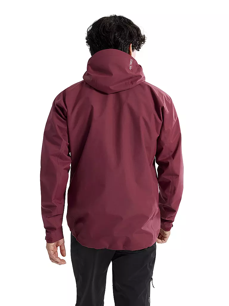 ARCTERYX | Herren Tourenjacke Beta 3l | 