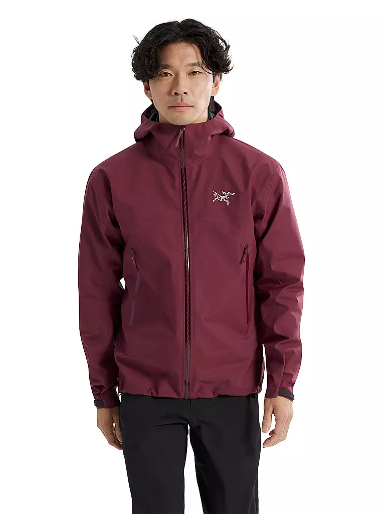 ARCTERYX | Herren Tourenjacke Beta 3l | 
