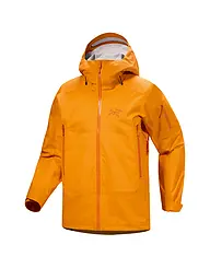 ARCTERYX | Herren Tourenjacke Sabre 3L GTX Hoodie | orange