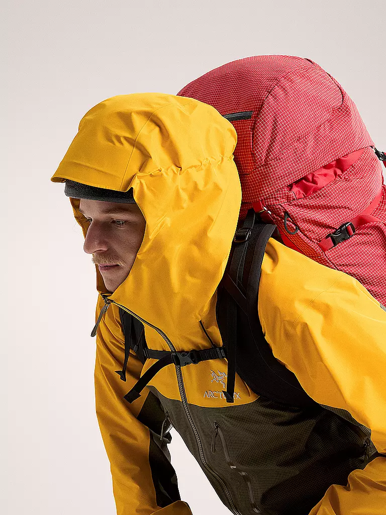 ARCTERYX | Herren Wanderjacke Alpha GTX Hoodie | grün