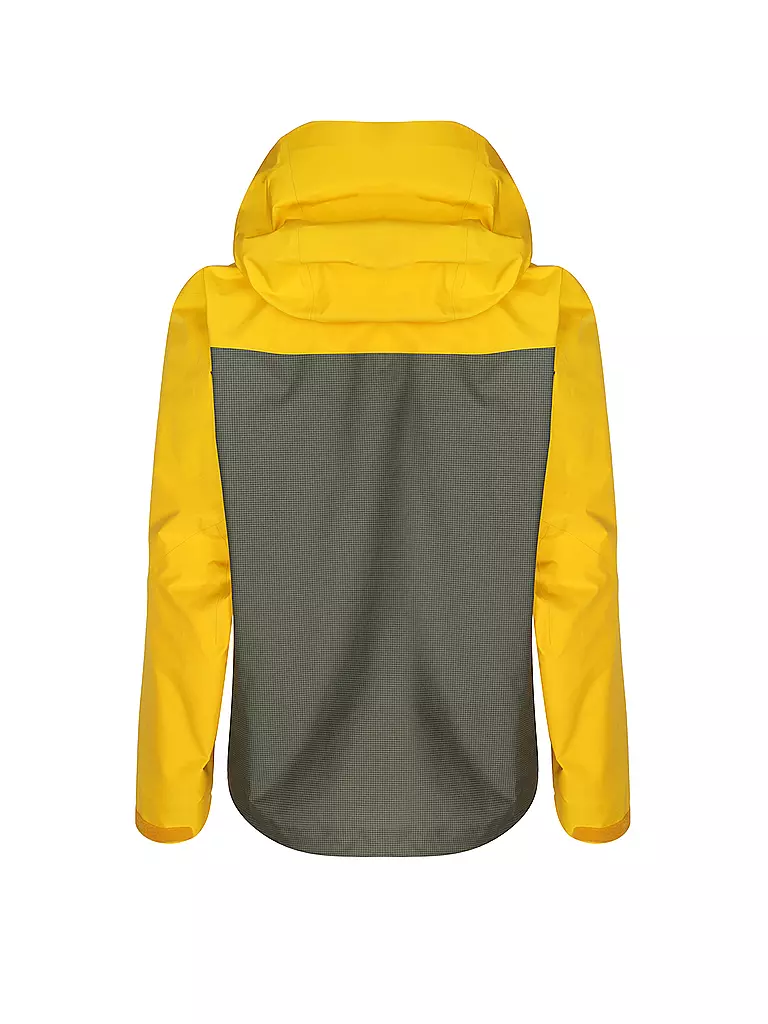 ARCTERYX | Herren Wanderjacke Alpha GTX Hoodie | grün