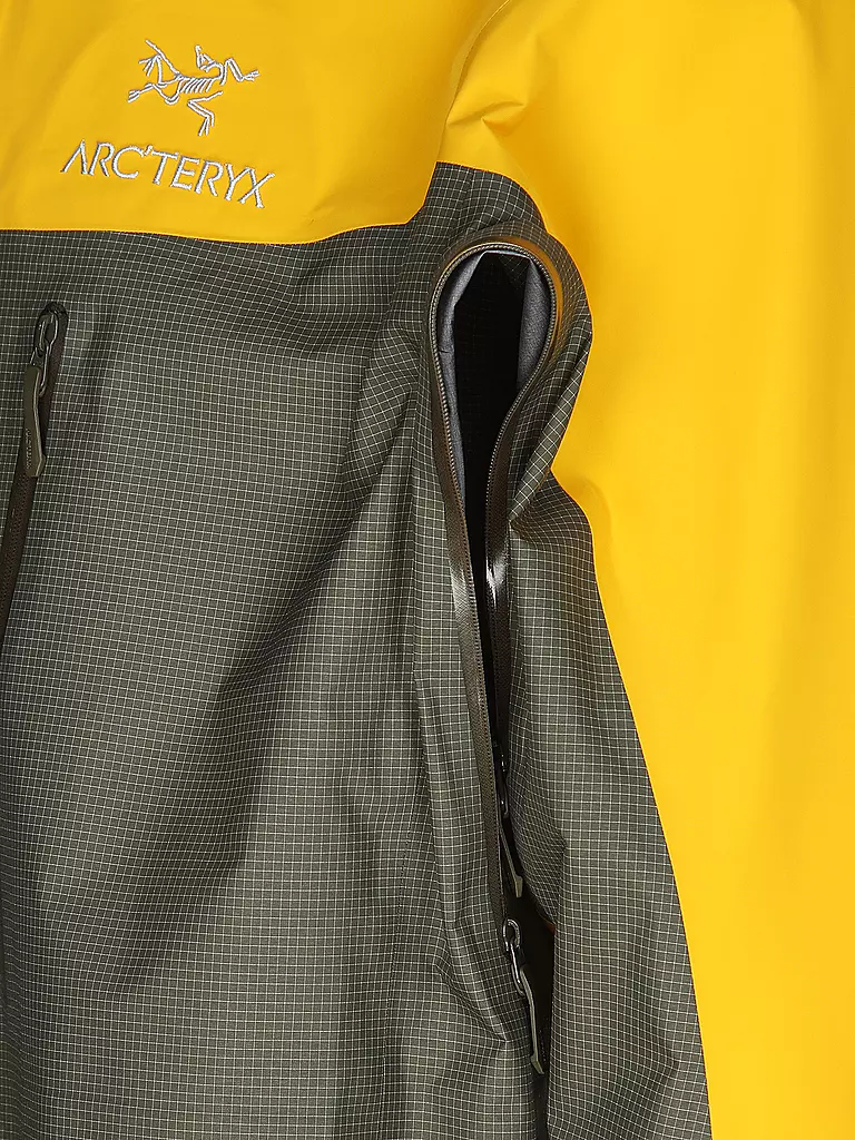 ARCTERYX | Herren Wanderjacke Alpha GTX Hoodie | grün