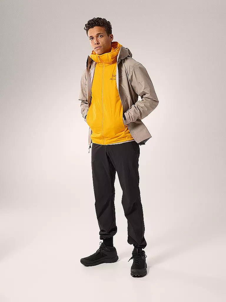ARCTERYX | Herren Wanderjacke Beta Lt GTX 3L Hoodie | beige