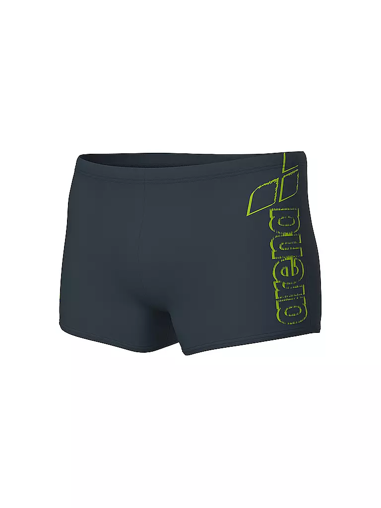 ARENA | Herren Beinbadehose Scratchy | grau