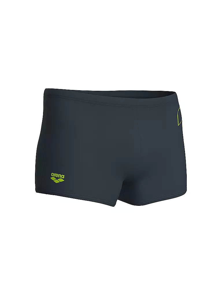 ARENA | Herren Beinbadehose Scratchy | grau