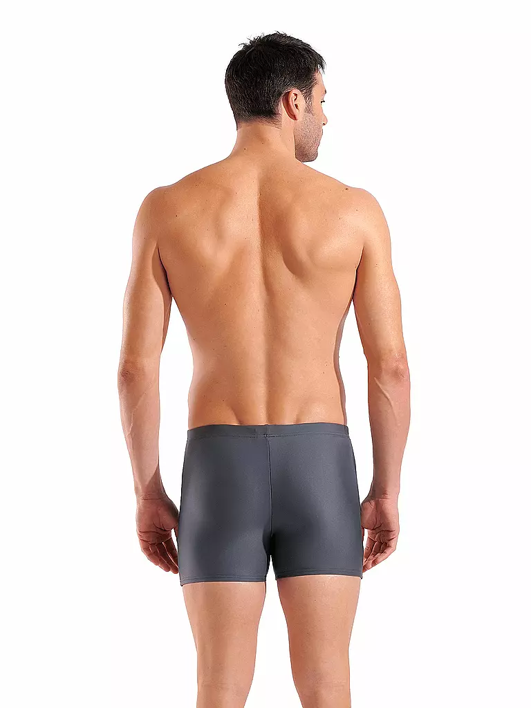 ARENA | Herren Beinbadehose Scratchy | grau