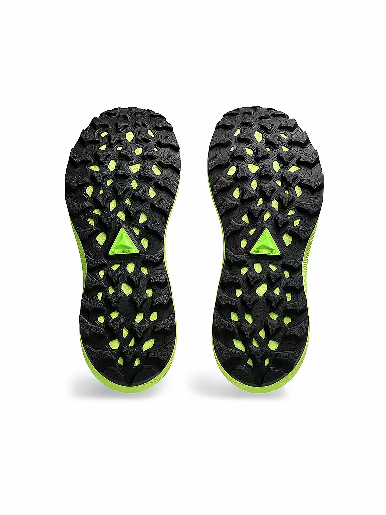 ASICS | Herren Traillaufschuhe Gel-Trabuco 12 | grau