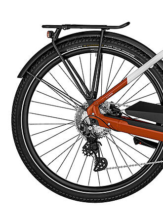 BERGAMONT | Damen E-Bike E-Horizon Edition LTD Amsterdam