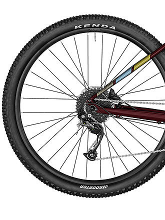 BERGAMONT | Mountainbike Revox 4 FMN