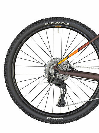 BERGAMONT | Mountainbike Revox 7