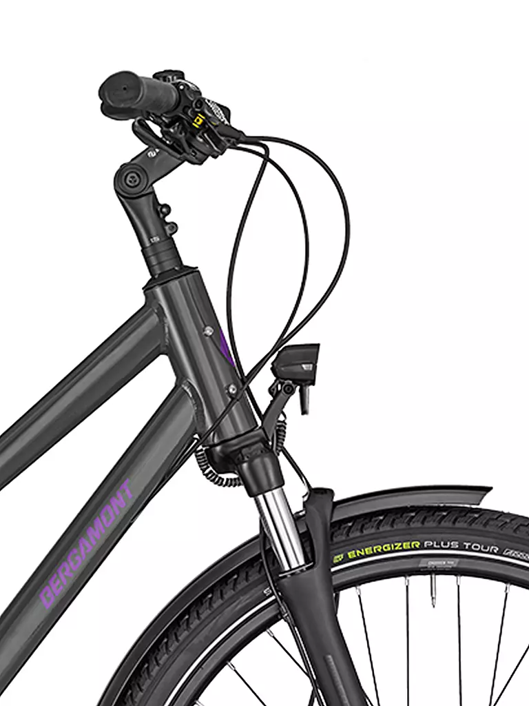 BERGAMONT | Damen Citybike Horizon Plus N8 FH Lady | grau