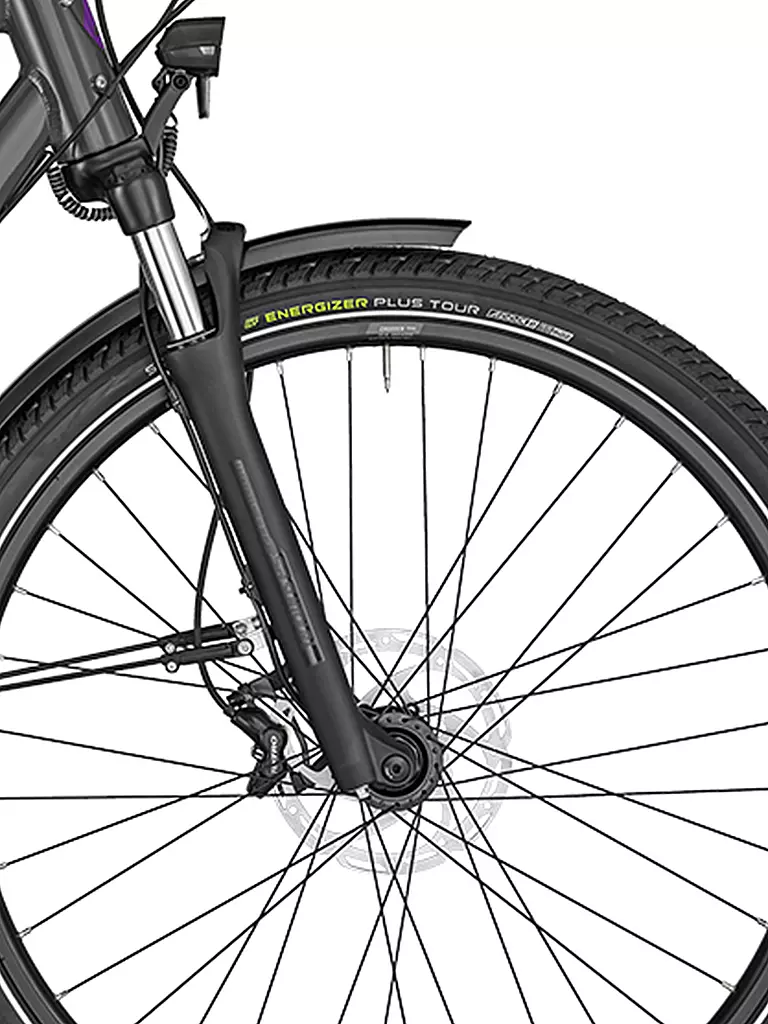 BERGAMONT | Damen Citybike Horizon Plus N8 FH Lady | grau