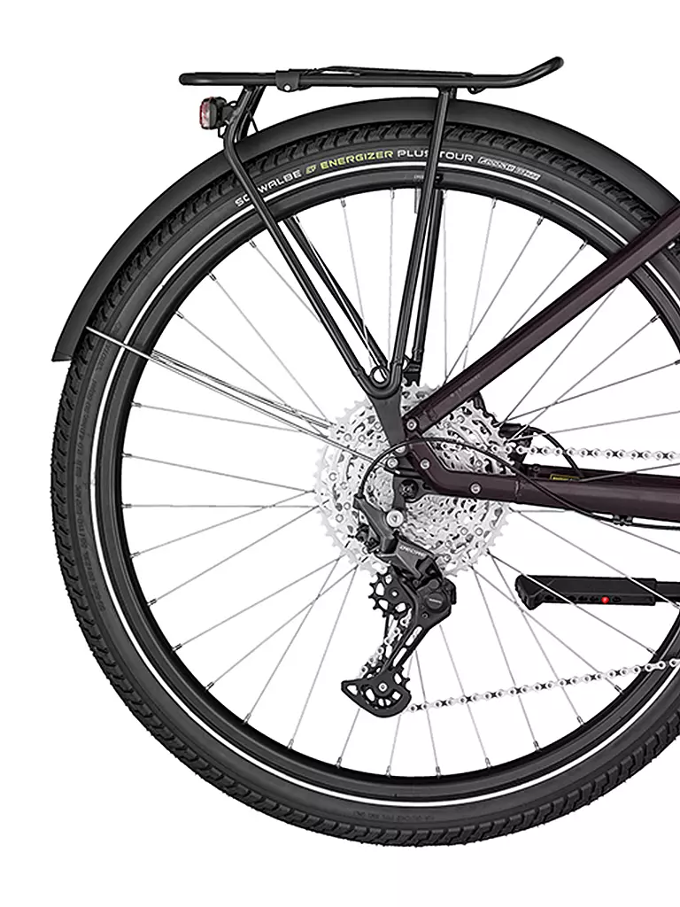 BERGAMONT | Damen E-Bike E-Horizon Expert 6 Wave Plum | beere