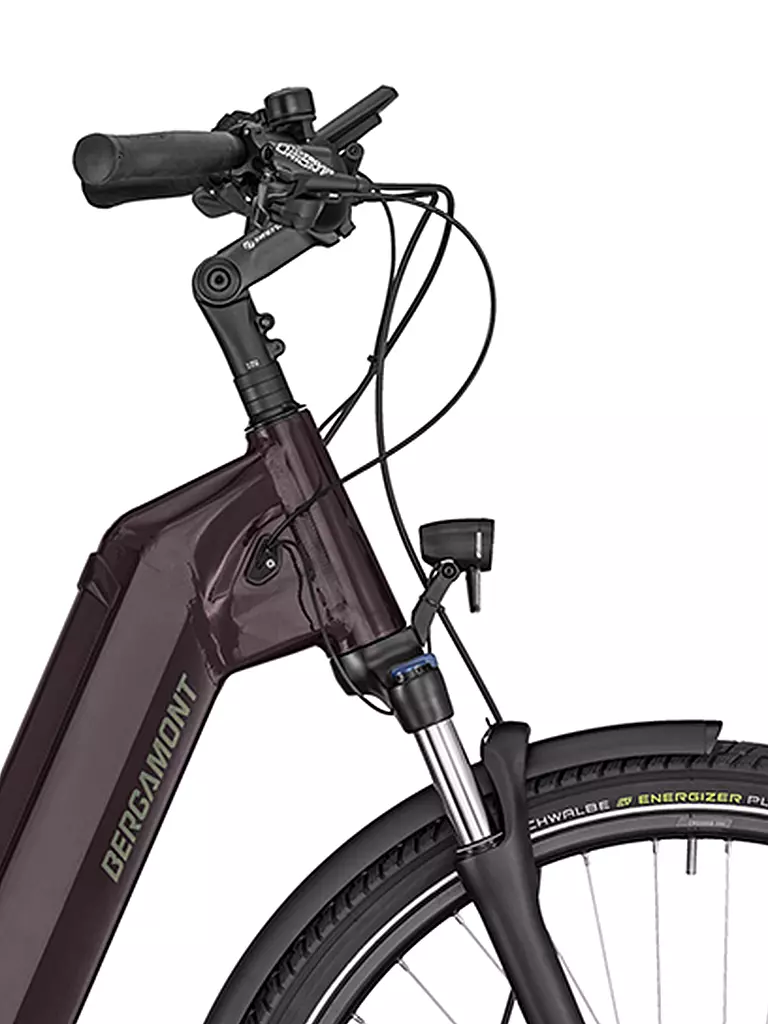 BERGAMONT | Damen E-Bike E-Horizon Expert 6 Wave Plum | beere