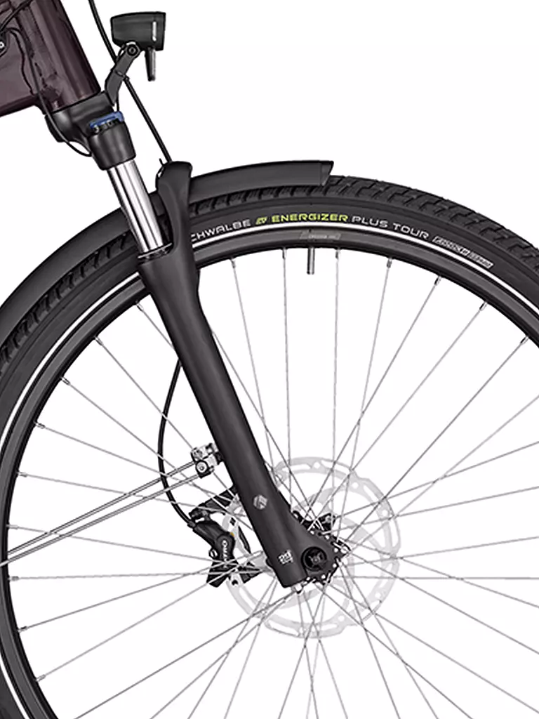 BERGAMONT | Damen E-Bike E-Horizon Expert 6 Wave Plum | beere