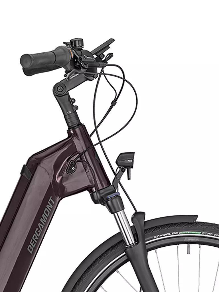 BERGAMONT | Damen E-Bike E-Horizon N5e FH Wave | beere