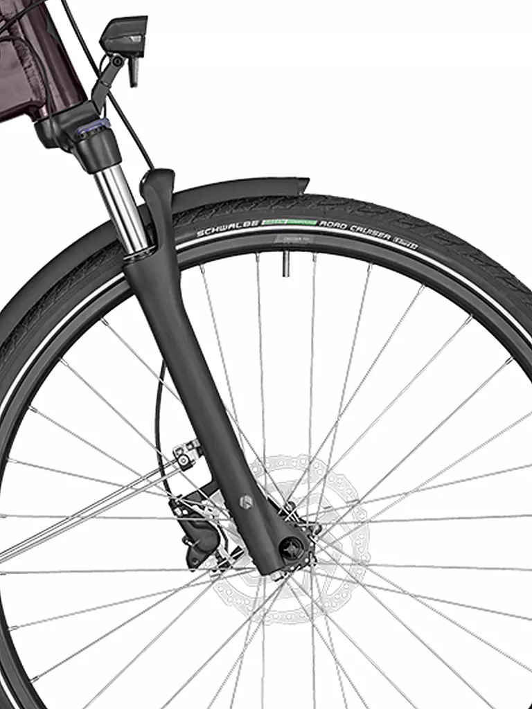 BERGAMONT | Damen E-Bike E-Horizon N5e FH Wave | beere