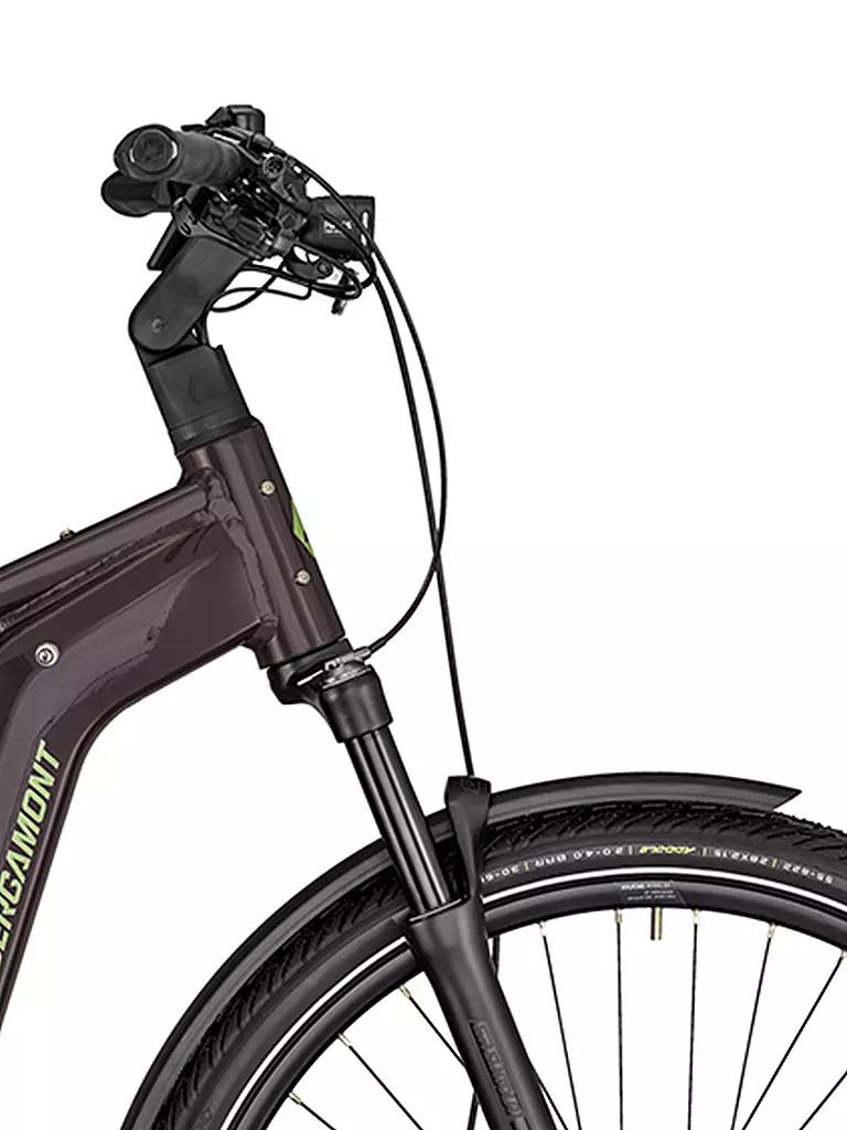 BERGAMONT | Damen E-Bike E-Horizon Premium Expert Lady | dunkelrot