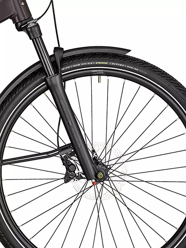 BERGAMONT | Damen E-Bike E-Horizon Premium Expert Lady | dunkelrot