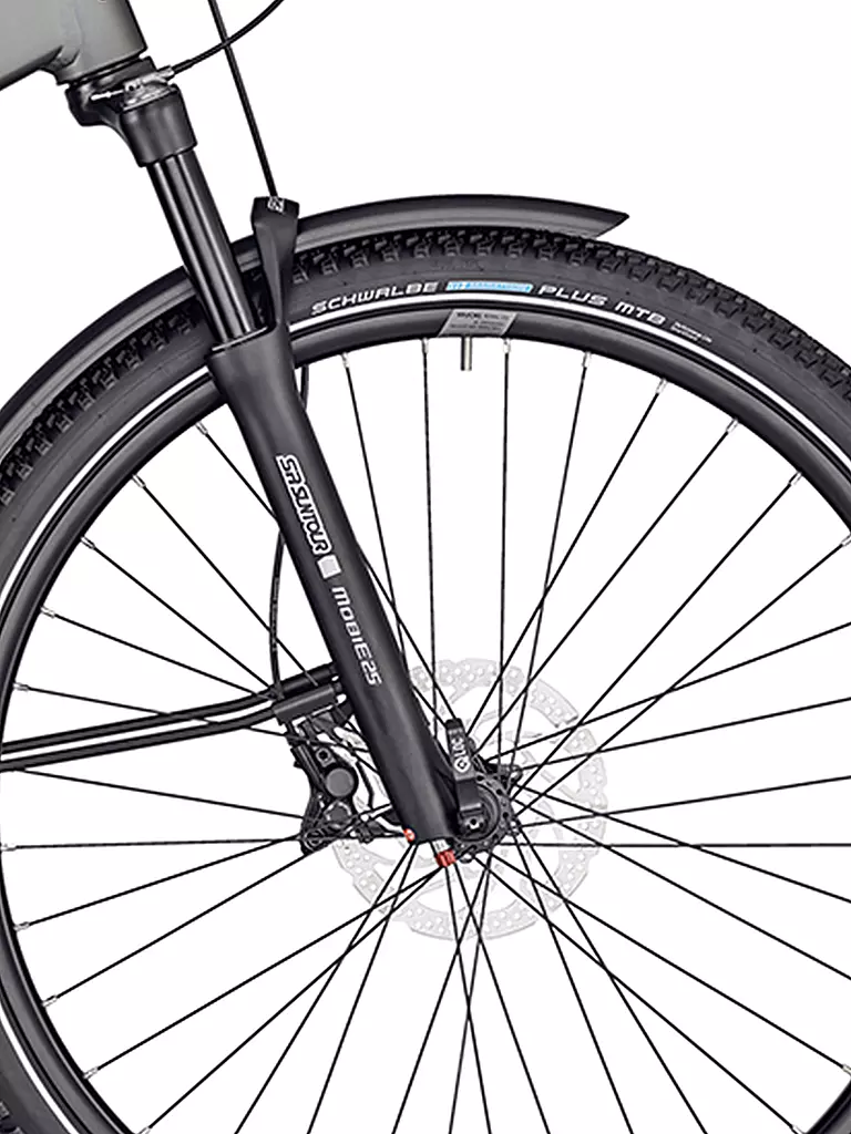 BERGAMONT | Damen E-Bike E-Horizon Premium SUV Amsterdam | silber