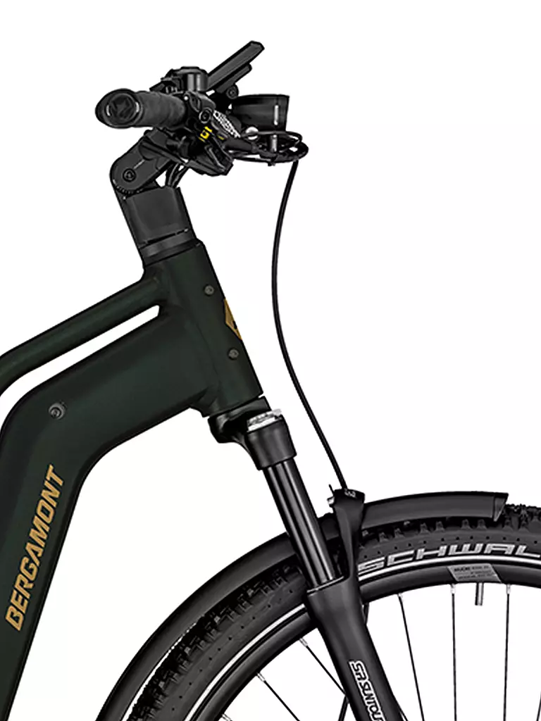 BERGAMONT | Damen E-Bike E-Horizon SUV 6 Amsterdam | dunkelgrün