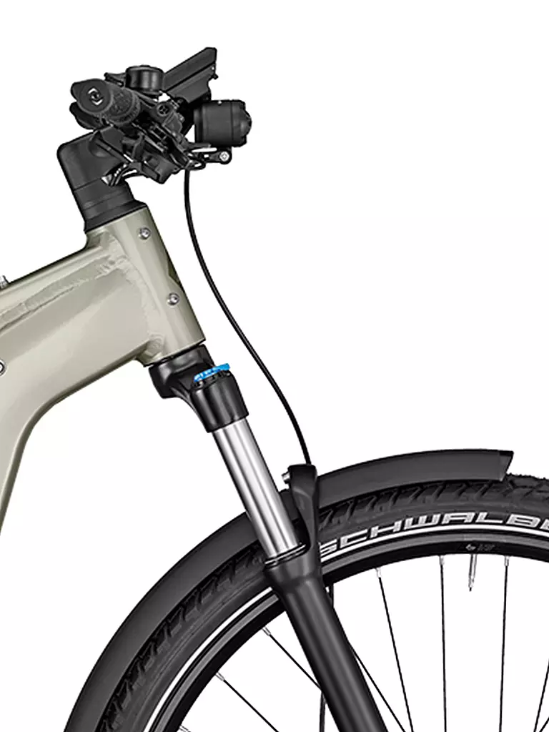 BERGAMONT | Damen E-Bike E-Revox Pro FMN EQ | beige