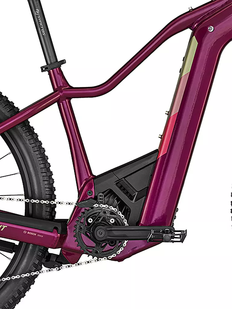 BERGAMONT | Damen E-MTB E-Revox Pro FMN | beere