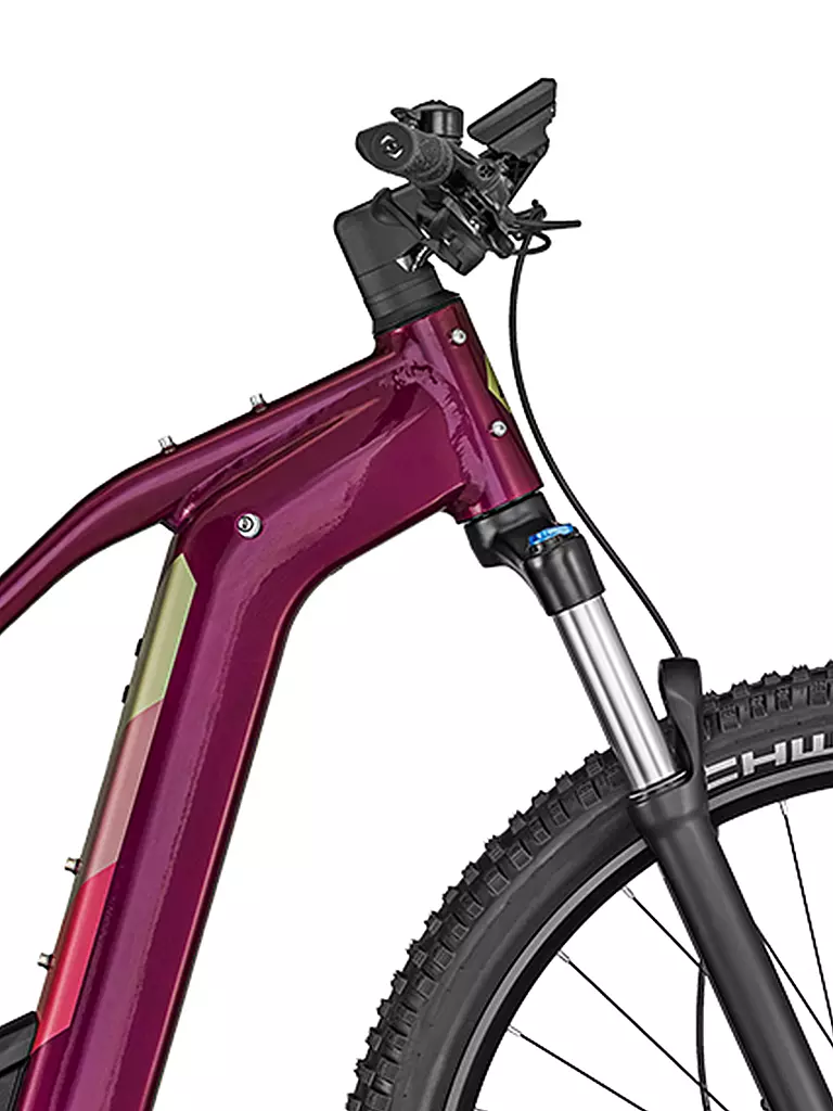 BERGAMONT | Damen E-MTB E-Revox Pro FMN | beere