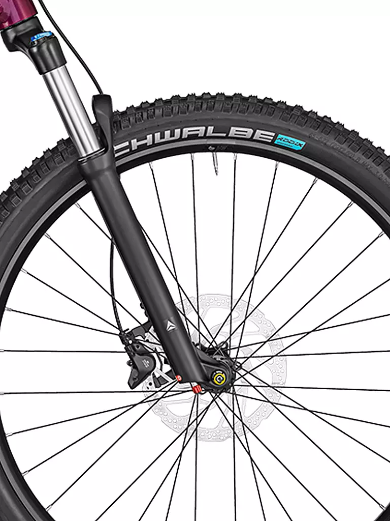 BERGAMONT | Damen E-MTB E-Revox Pro FMN | beere