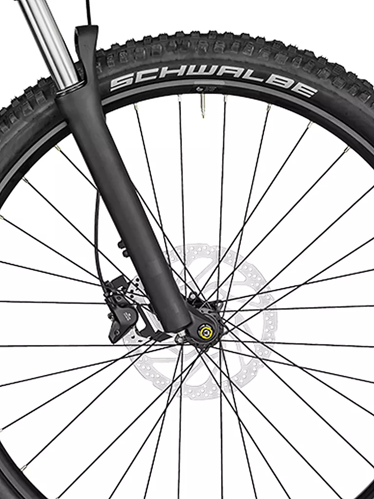 BERGAMONT | Damen E-MTB E-Revox Sport FMN | beere