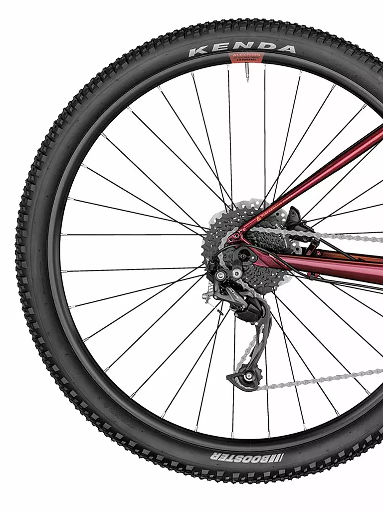 BERGAMONT | Damen Mountainbike 29