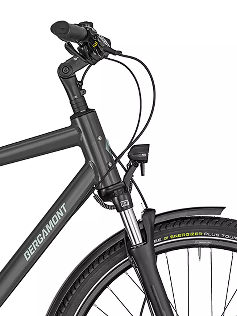 BERGAMONT | Herren Citybike Horizon Plus N8 FH Gent | dunkelgrün