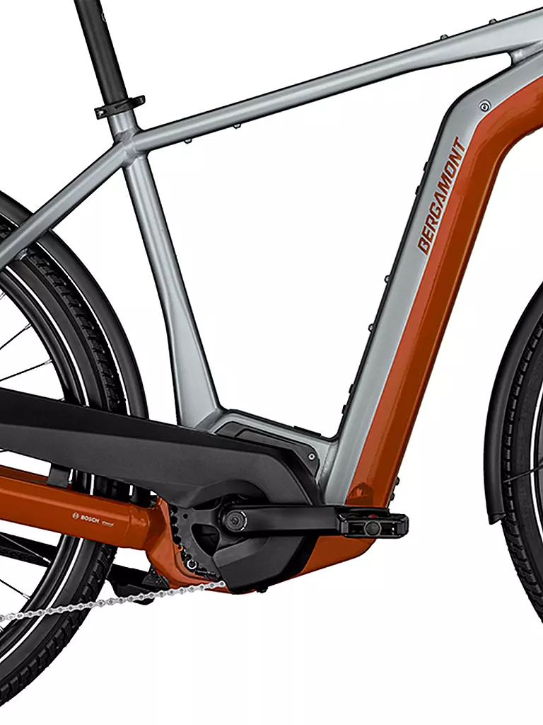 BERGAMONT | Herren E-Bike E-Horizon Edition LTD Gent | silber