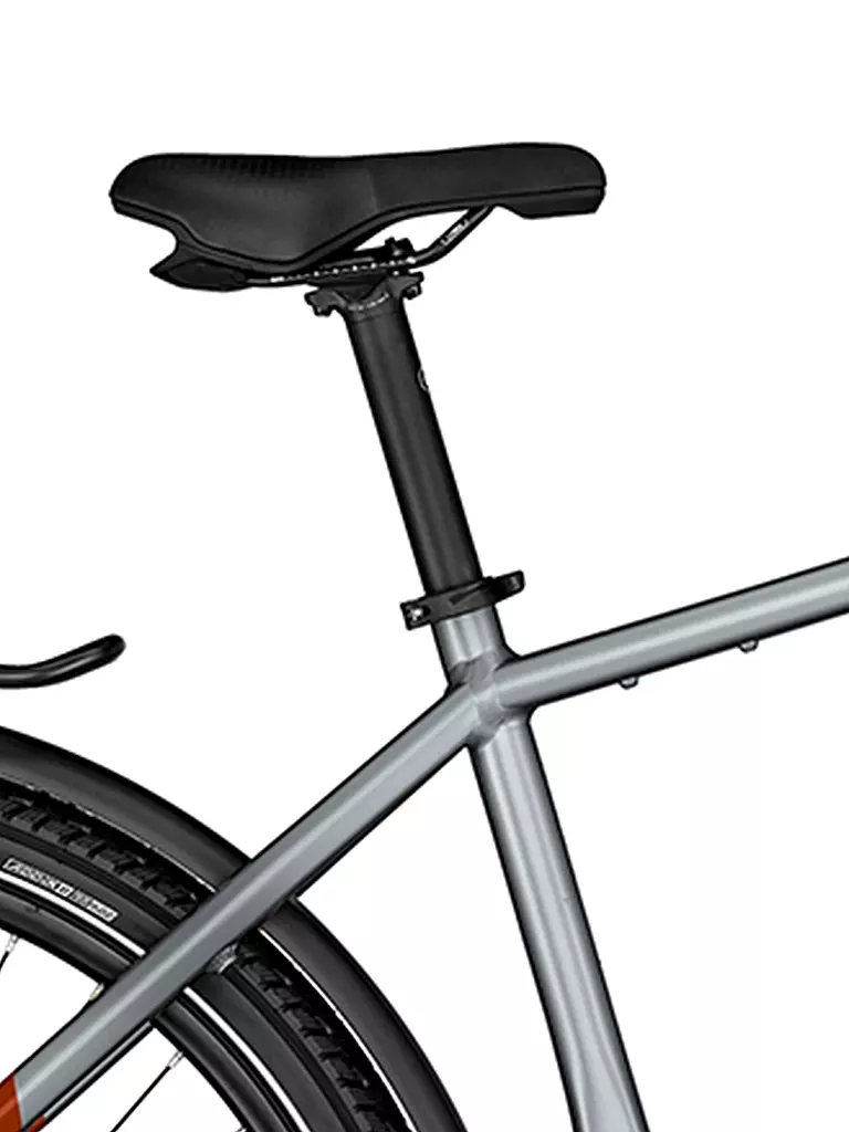 BERGAMONT | Herren E-Bike E-Horizon Edition LTD Gent | silber