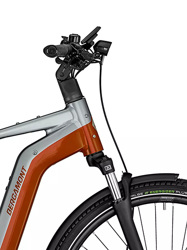 BERGAMONT | Herren E-Bike E-Horizon Edition LTD Gent | silber
