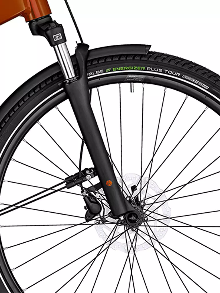 BERGAMONT | Herren E-Bike E-Horizon Edition LTD Gent | silber