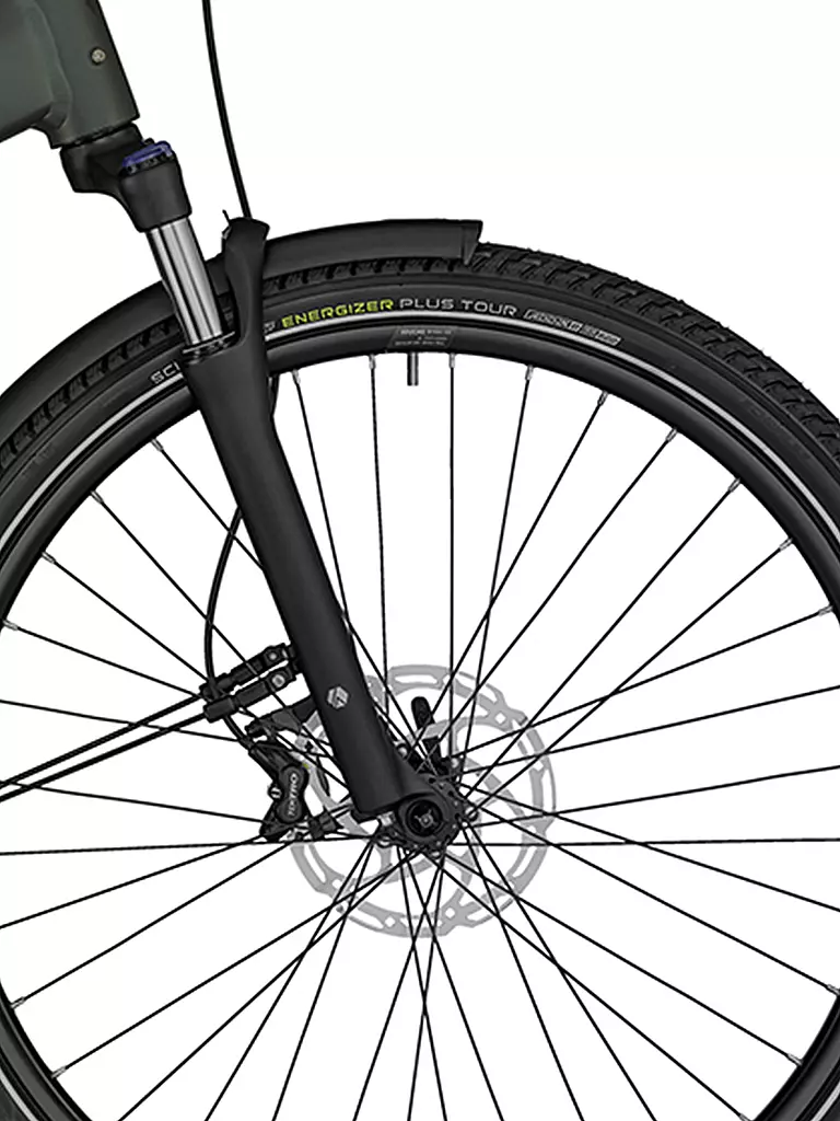 BERGAMONT | Herren E-Bike E-Horizon Expert 6 Gent | dunkelgrün