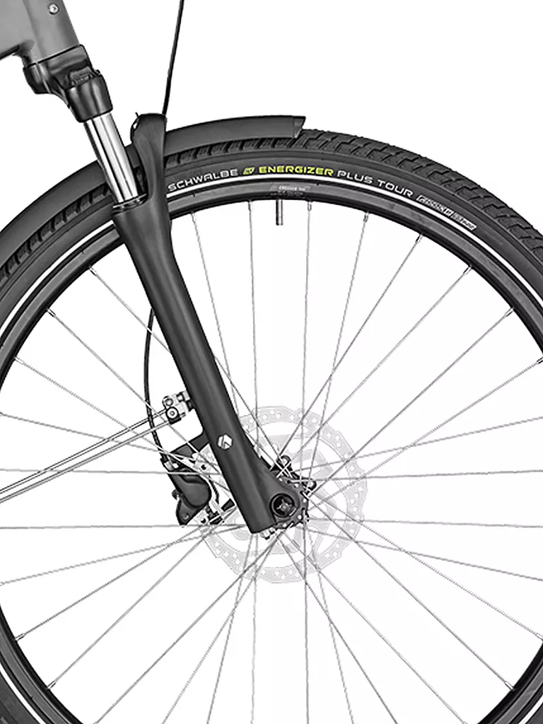 BERGAMONT | Herren E-Bike E-Horizon N5e FH Belt Gent | silber