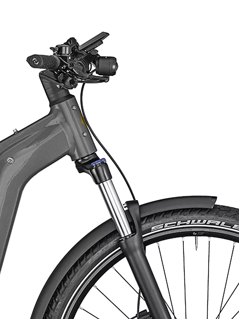 BERGAMONT | Herren E-Bike E-Revox Edition EQ | grau