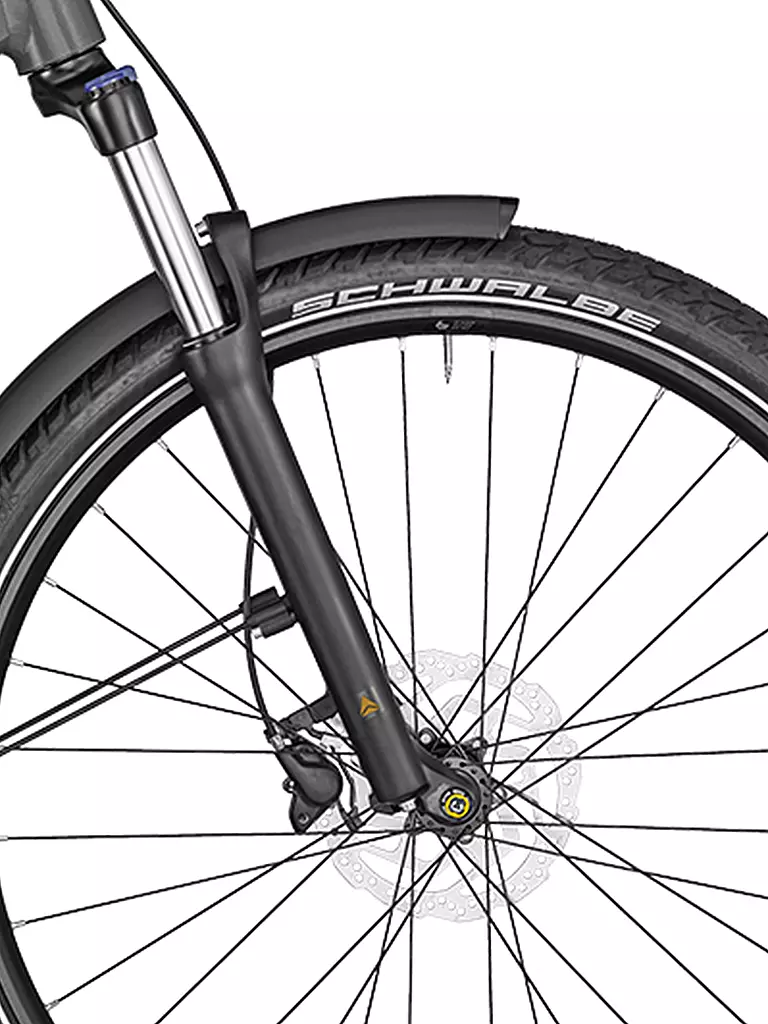 BERGAMONT | Herren E-Bike E-Revox Edition EQ | grau