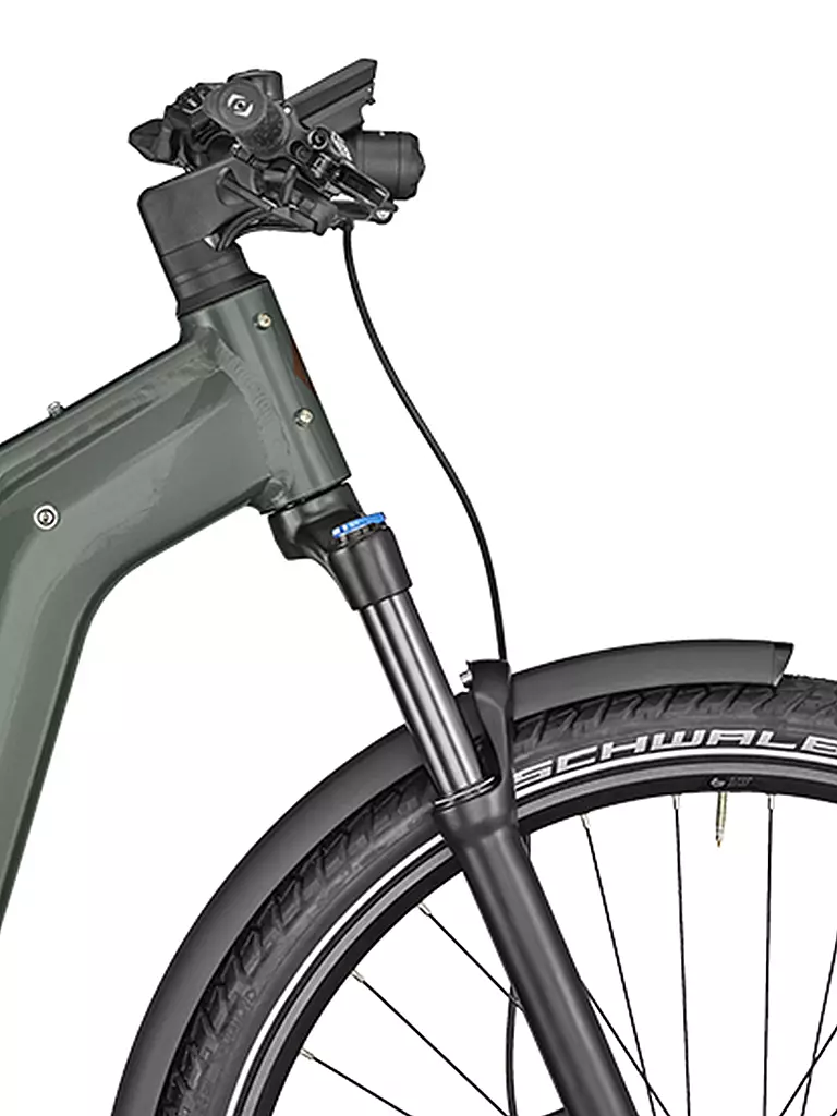 BERGAMONT | Herren E-Bike E-Revox Expert EQ | olive
