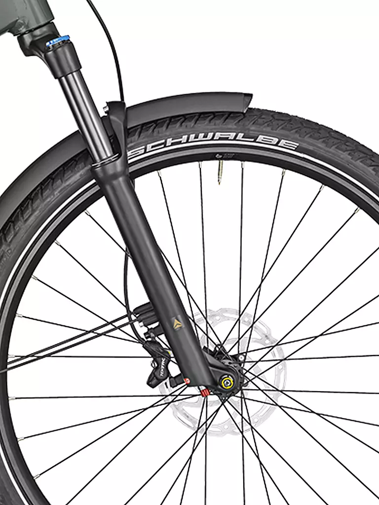 BERGAMONT | Herren E-Bike E-Revox Expert EQ | olive