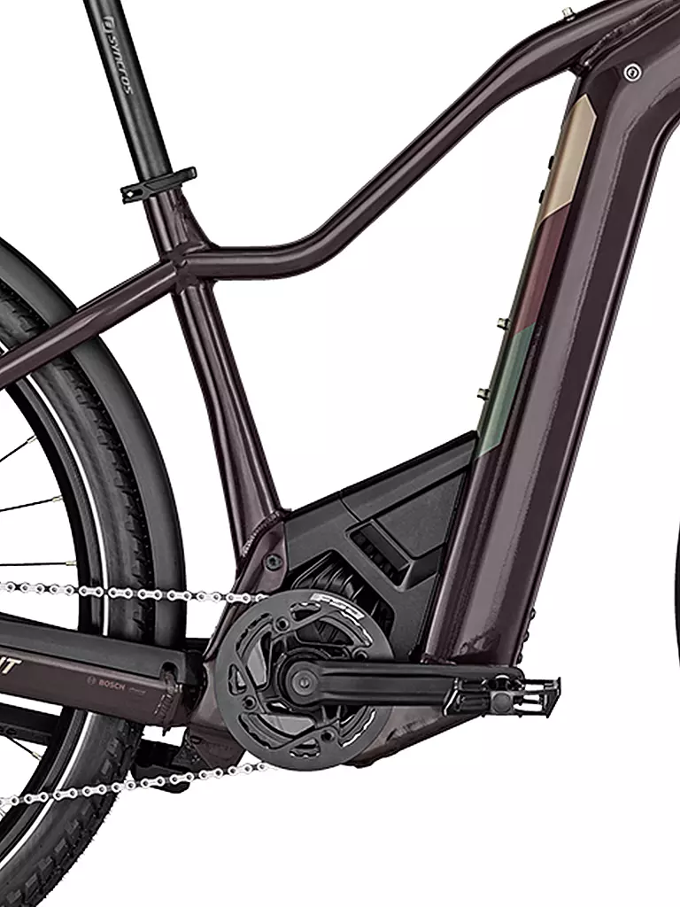 BERGAMONT | Herren E-Bike E-Revox Expert FMN EQ | beere