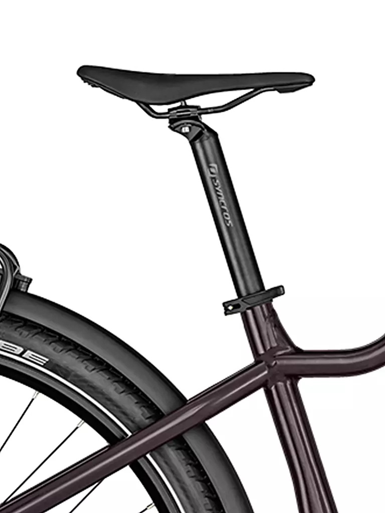 BERGAMONT | Herren E-Bike E-Revox Expert FMN EQ | beere