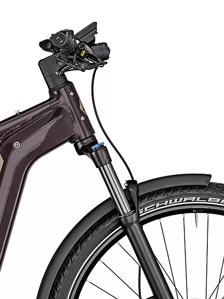 BERGAMONT | Herren E-Bike E-Revox Expert FMN EQ | beere