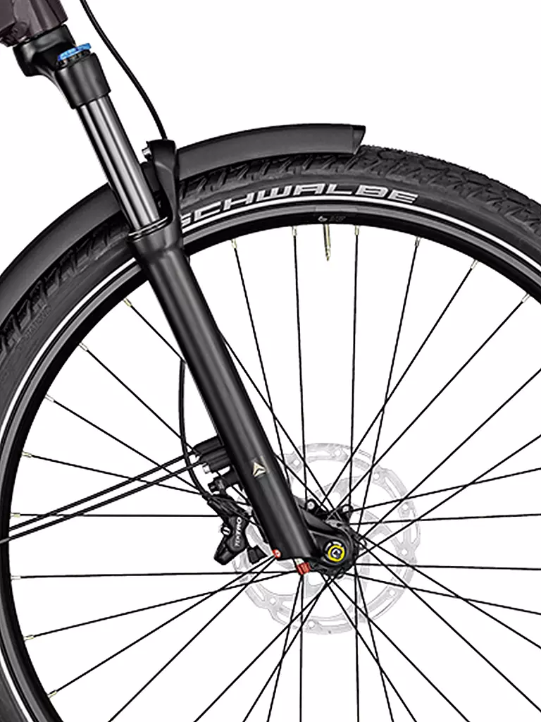 BERGAMONT | Herren E-Bike E-Revox Expert FMN EQ | beere
