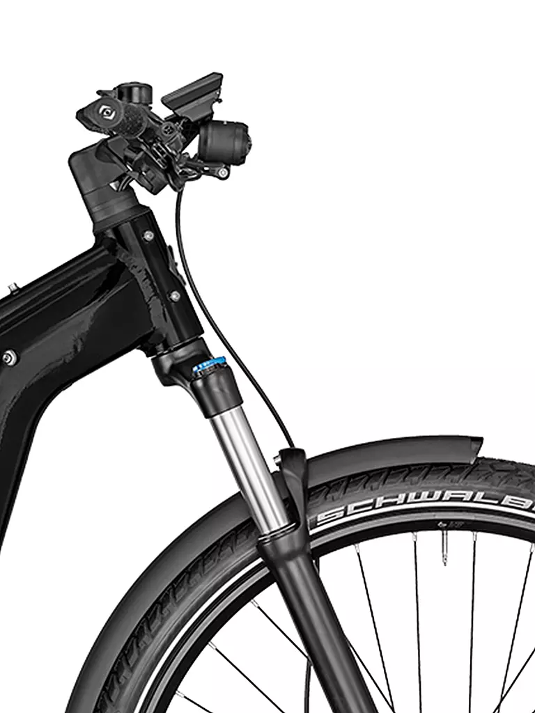 BERGAMONT | Herren E-Bike E-Revox Pro EQ | schwarz